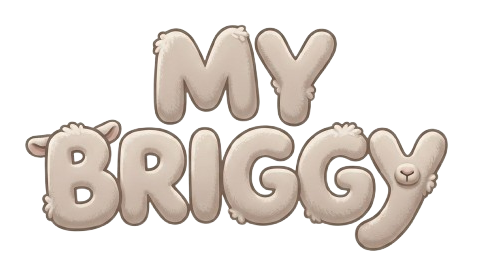 Mybriggy